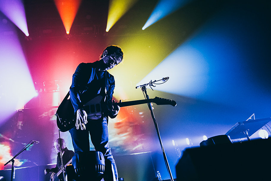 the wombats